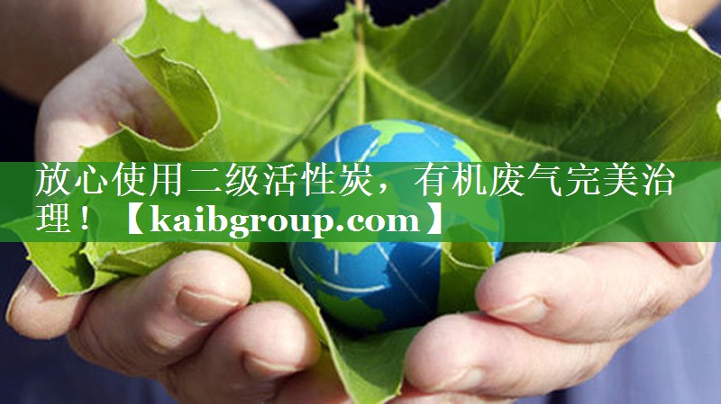 放心使用二级活性炭，有机废气完美治理！