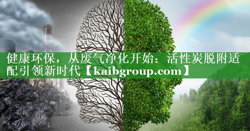健康环保，从废气净化开始：活性炭脱附适配引领新时代