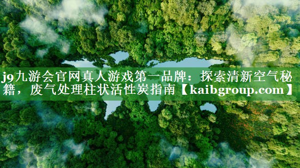 探索清新空气秘籍，废气处理柱状活性炭指南