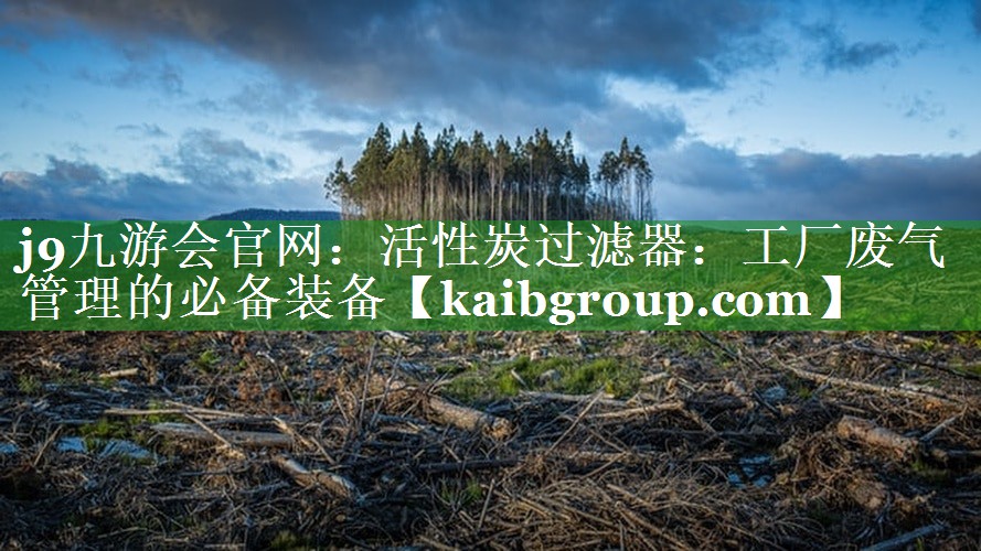 活性炭过滤器：工厂废气管理的必备装备